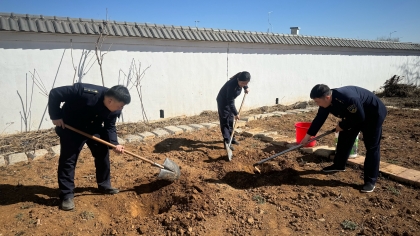 F:\00.分公司季度检查\2025年\02.办公室\宣传\3月份\4植树1