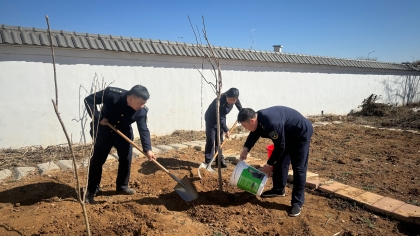 F:\00.分公司季度检查\2025年\02.办公室\宣传\3月份\4植树3