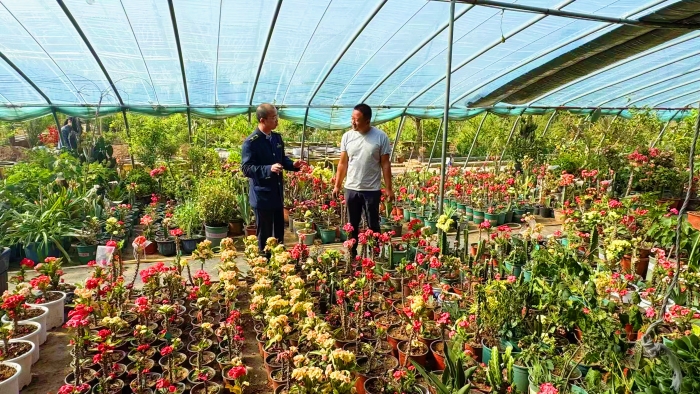 D:\2025年办公\2025宣传\四月\牡丹园2