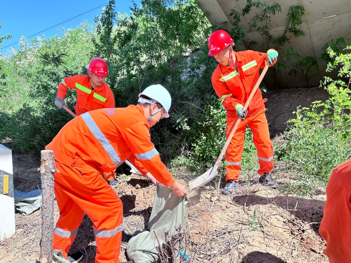 74109535f7f4bbd9bfa91e0f2cea6b7