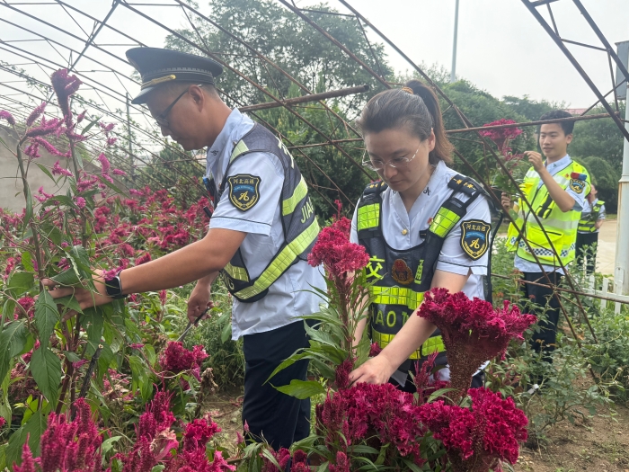 微信图片_20250829153630