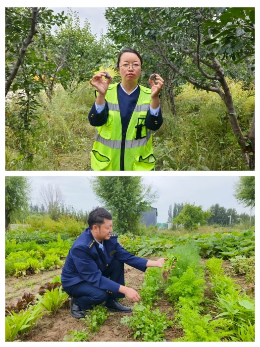 27d865156827613a30d6a94d552432e