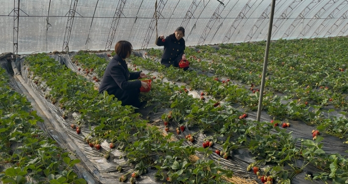 微信图片_20260211134524_1549_163